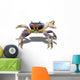 Crabby Crab Wall Decal