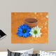 Blue and White Daisies