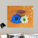 Blue and White Daisies