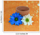 Blue and White Daisies