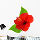 Red Hibiscus Wall Decal