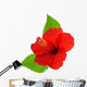 Red Hibiscus Wall Decal