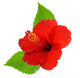 Red Hibiscus Wall Decal