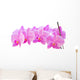 Row of Orchids Wall Decal