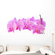 Row of Orchids Wall Decal