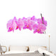 Row of Orchids Wall Decal