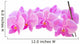 Row of Orchids Wall Decal