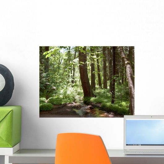 Yosemite Forest Wall Mural