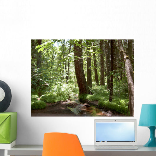 Yosemite Forest Wall Mural