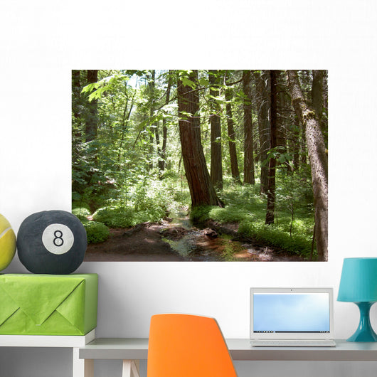 Yosemite Forest Wall Mural