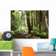 Yosemite Forest Wall Mural