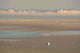 Baie Somme and Crotoy Wall Decal