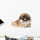 Pekinese Dog Portrait Wall Decal
