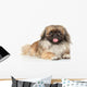 Pekinese Dog Portrait Wall Decal