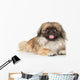 Pekinese Dog Portrait Wall Decal