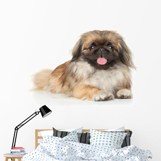 Pekinese Dog Portrait Wall Decal