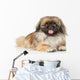 Pekinese Dog Portrait Wall Decal