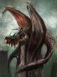 Dragon Rider Wall Decal