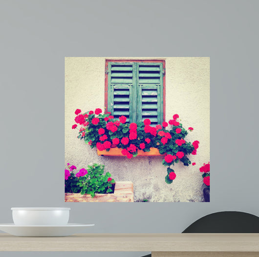 Window