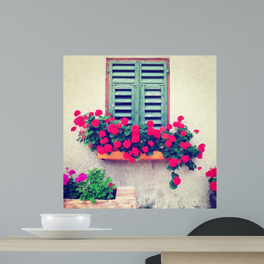 Window