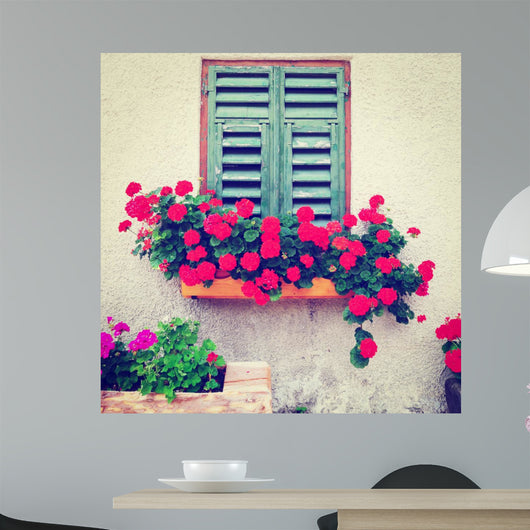 Window