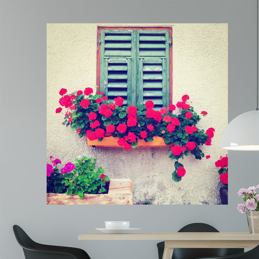 Window