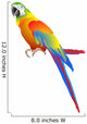 Parrot Wall Decal
