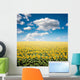 Sunflower Field Wall Mural