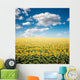 Sunflower Field Wall Mural
