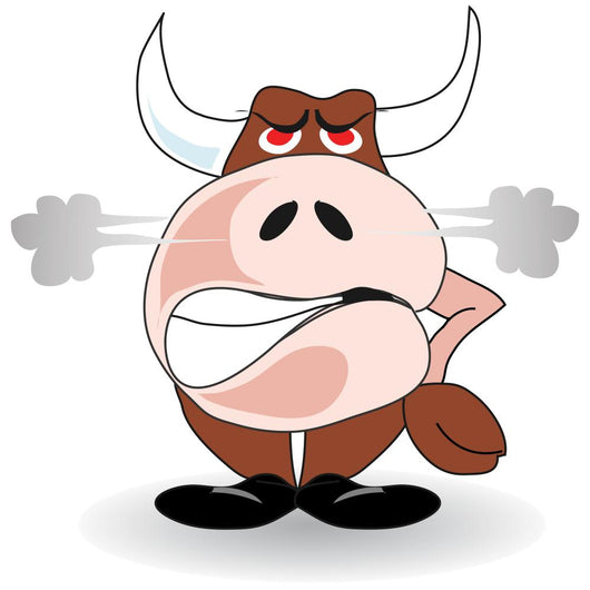 Angry Bull Wall Decal