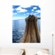 Titicaca Wall Decal