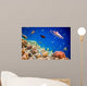 Tropical Coral Reef