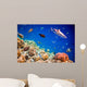 Tropical Coral Reef