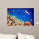 Tropical Coral Reef