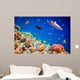 Tropical Coral Reef