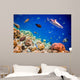 Tropical Coral Reef