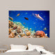 Tropical Coral Reef