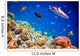 Tropical Coral Reef