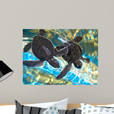 Two Baby Sea Turtles Wall Mural shown on a wall