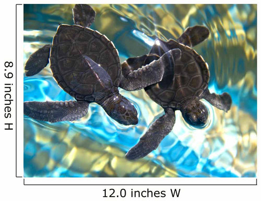 Two Sea Turtle in the Ocean, Diamond Painting