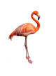 Pink Flamingo Wall Decal