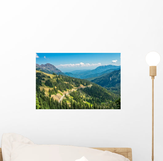 Hurricane Ridge Olympic National Wall Mural