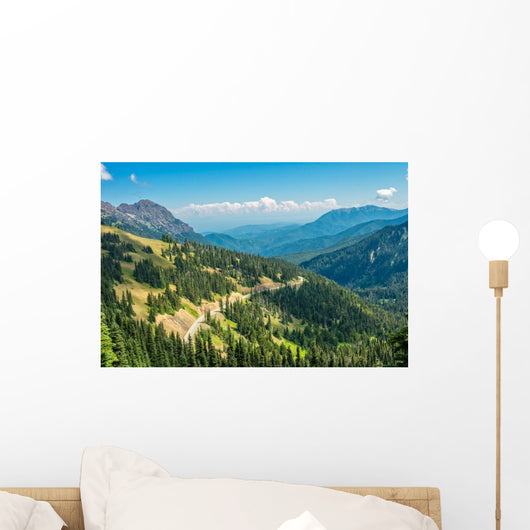 Hurricane Ridge Olympic National Wall Mural