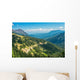 Hurricane Ridge Olympic National Wall Mural