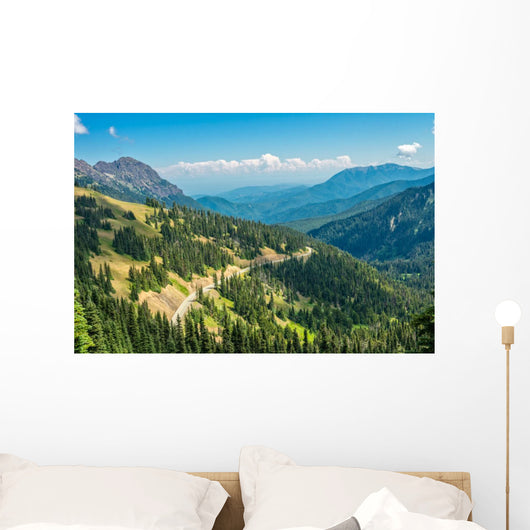 Hurricane Ridge Olympic National Wall Mural