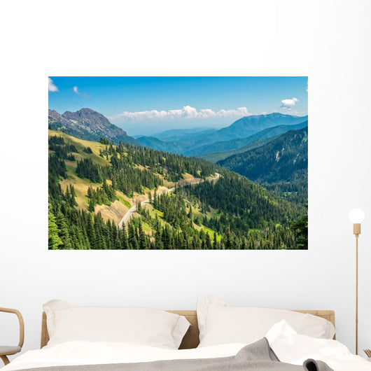 Hurricane Ridge Olympic National Wall Mural