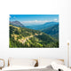 Hurricane Ridge Olympic National Wall Mural