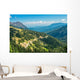 Hurricane Ridge Olympic National Wall Mural