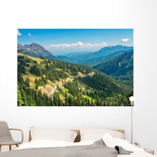 Hurricane Ridge Olympic National Wall Mural