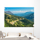 Hurricane Ridge Olympic National Wall Mural